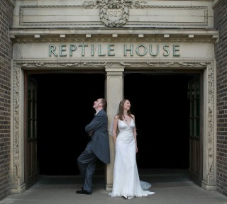 Wedding Galleries London Wedding Photographers