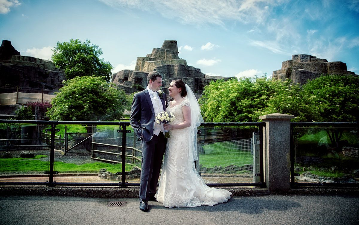 London Zoo Wedding Photographers Time Out Recommended London Wedding Photographers